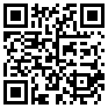 和猫咪一起玩游戏