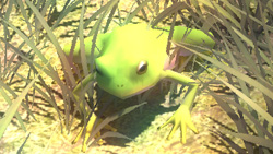 妖妖剑戟梦想 游戏界面元素