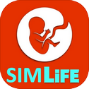 BitLife