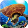 古海龟模拟器游戏